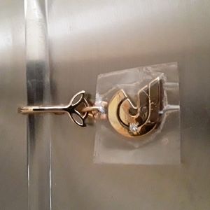 NWOT 18k & Diamond Pendant/Charm & 14k Bail